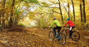 Pollino-bicicletta_Funghi